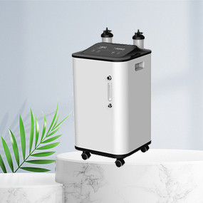 Grande famiglia del generatore dell'ossigeno di flusso 10L dell'esposizione a 10 pollici a basso rumore