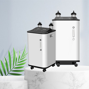Concentratore 0.5L portatile - 10L dell'ossigeno della famiglia di purezza di 95%