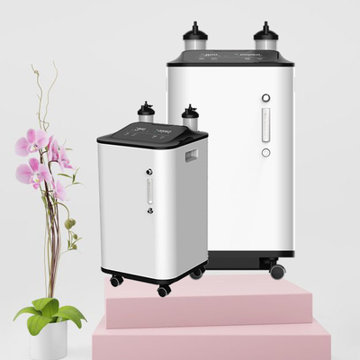 Terapia fisica 1 - concentratore dell'ossigeno 10L con il nebulizzatore e lo schermo del LED