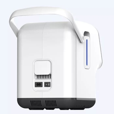 Concentratore portatile dell'ossigeno da 10 litri 220 volt con la funzione di sincronizzazione e di atomizzazione