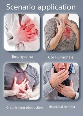 Macchina portatile del connettore dell'ossigeno del concentratore O2 di flusso debole per 10L medico