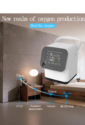 Macchina medica calma del concentratore del generatore dell'ossigeno da 1 litro per stanza