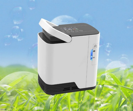 La casa portatile a flusso semplice del concentratore dell'ossigeno da 2 litri usa 220v