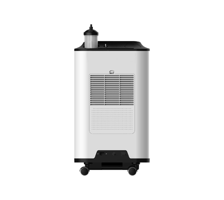 Concentratore portatile medico O2 di 95% 10 LPM per 2 la persona 10L